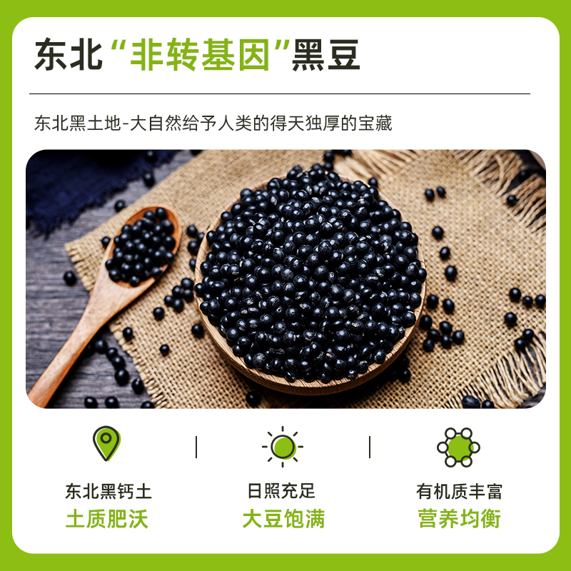 【官方企业店】捷氏黑豆豆浆粉300g原味非转基因非无糖豆浆粉早餐 - 图2