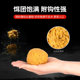 Genuine Huashi fishing bait Huashao new fishy fragrance wild fishing