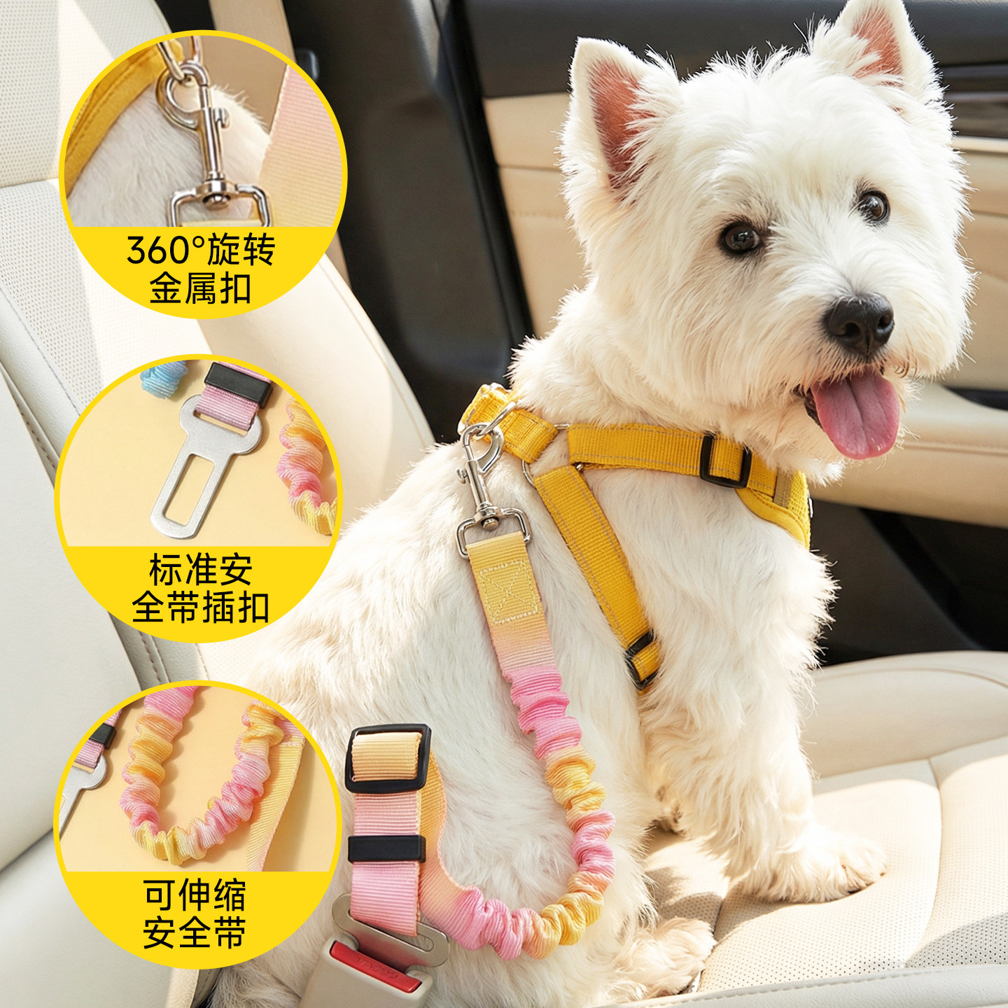 宠物车载安全带狗狗坐车安全扣弹力牵引绳可调节边牧比熊外出专用,淘宝优惠券,粉丝福利购,淘宝优惠卷
