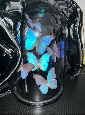 蝴蝶标本玻璃罩永生花DIY手办盲盒黏土软陶微景观干花展示防尘罩