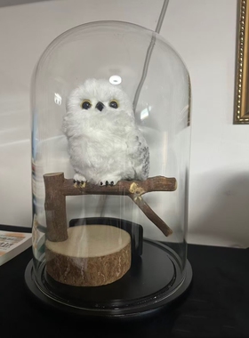 海德薇玻璃罩适用哈利波特环球影城猫头鹰信使玩偶收纳防尘展示盒