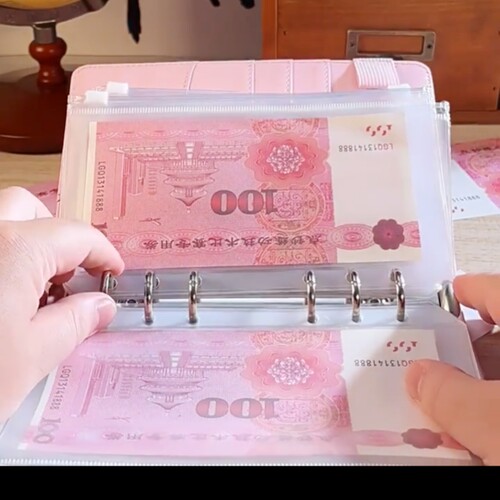 外币收纳本存钱本收纳袋活页现金存放袋子能装钱的本子可放钱成人 - 图3