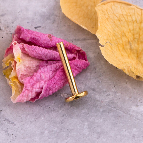 新穿孔防内陷纯钛合金耳骨钉梨涡钉酒窝钉防增生穿刺舌钉平底唇钉-图0