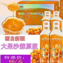 Thorns Sea Buckthorn Big Fruit Sea Buckthorn Virgin Berries 100% Wild 0 Add 30lm × 16 Freeze-dried Fruit Powder Raw