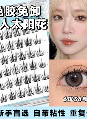 免胶款太阳花假睫毛女自然仿真小火苗下睫毛分段式单簇透明梗新手