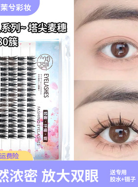 塔尖麦穗胶水款假睫毛自然仿真女欧美浓密单簇细黑梗分段式眼睫毛
