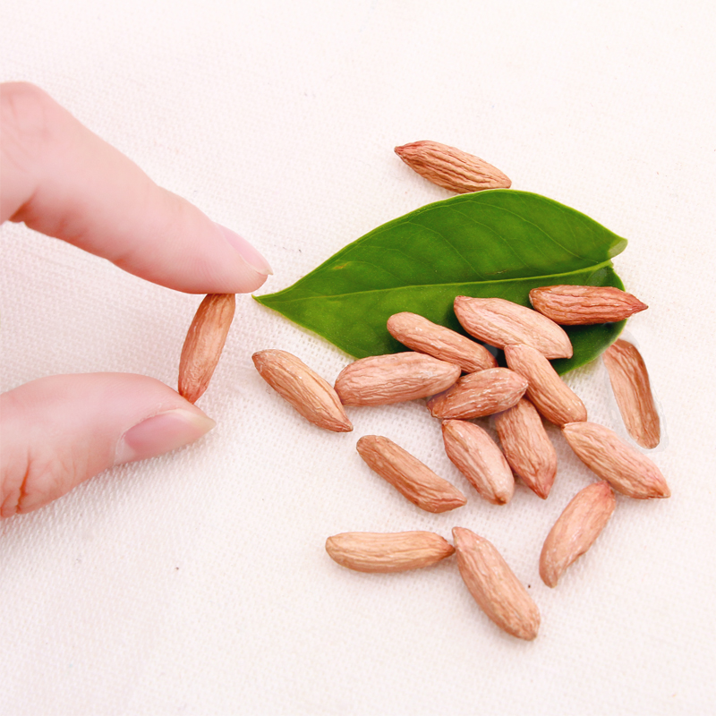 生新瘪养胃秕真空零食小粒生花生米 沂蒙小九美食特产花生