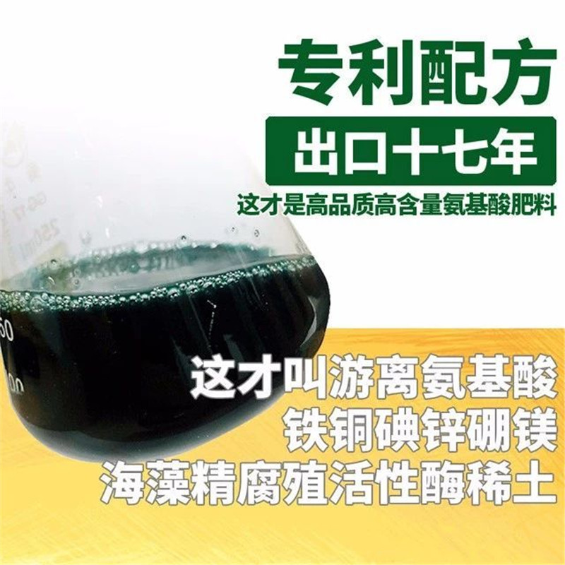 海博士超浓缩深海全营养促长精华海藻氨基酸叶面肥果蔬冲施肥料-图2