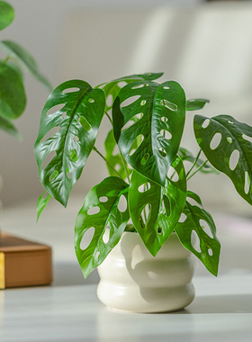仿真绿植小盆栽桌面摆件奶油风