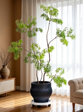 掬涵仿真绿植羽叶福禄桐室内造景家居装饰摆件高级逼真假植物中式