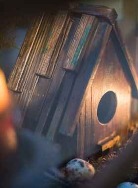 创意阳台花园装饰造景鸟房子挂饰