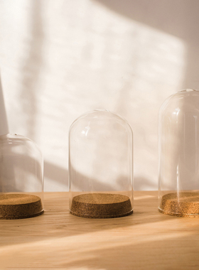 木塞玻璃罩子透明展示装饰摆件