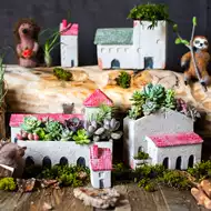 多肉小屋 新人首单立减十元 21年8月 淘宝海外