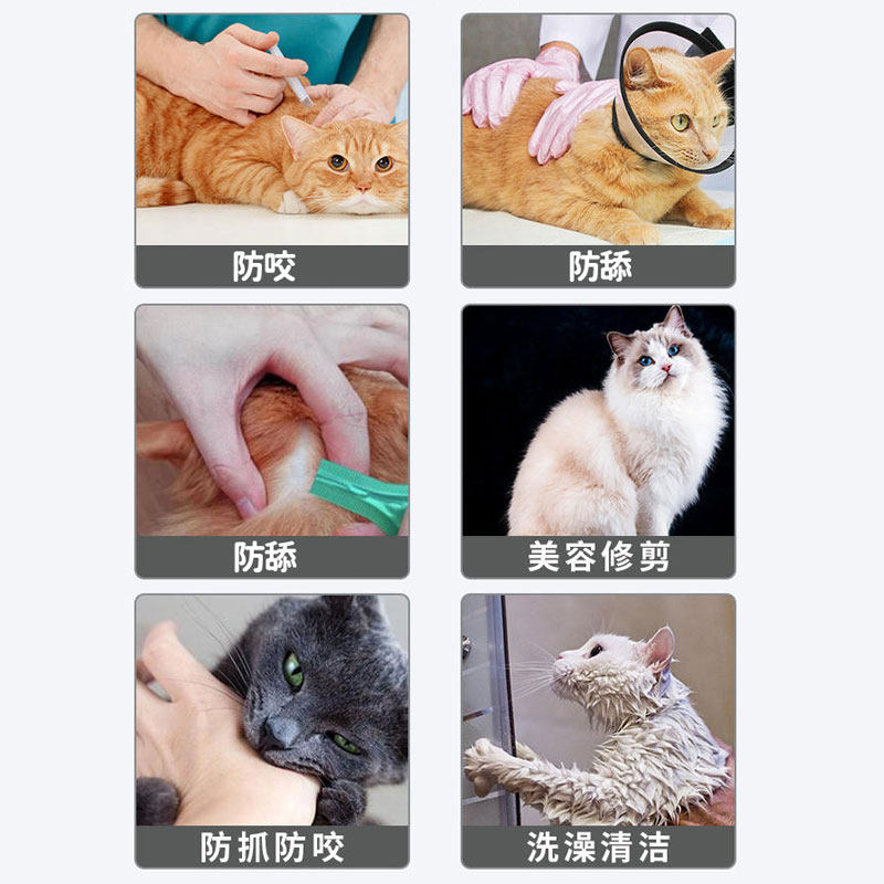 狗头套伊丽莎白圈全包加深防舔太空头罩遛狗防误食比熊泰迪可调节,淘宝优惠券,粉丝福利购,淘宝优惠卷