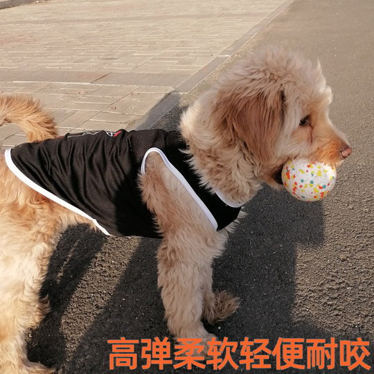 Dog toys and explosive balls dog bite-resistant magic weapon