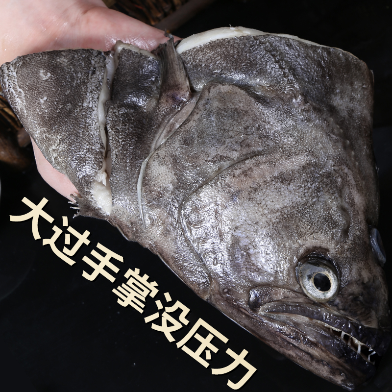 深海碟鱼头新鲜冷冻进口超大鲽鱼头偏口鱼比目鱼包邮鸦片鱼蝶鱼头-图1