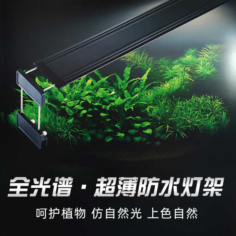 雨林缸植物灯 新人首单立减十元 22年6月 淘宝海外