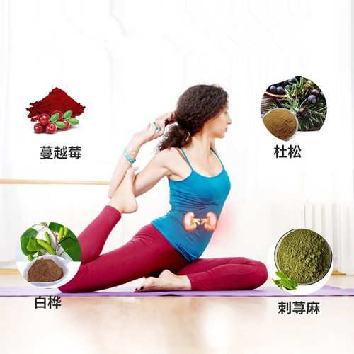 国Cell-IQ汉拿博士肾保胶囊清理代谢废物泌尿健康肾脏保健品 - 图0