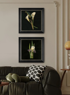 马蹄莲中古风客厅装饰画玄关挂画