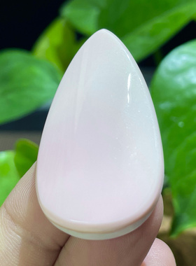 天然女王贝胭脂螺吊坠