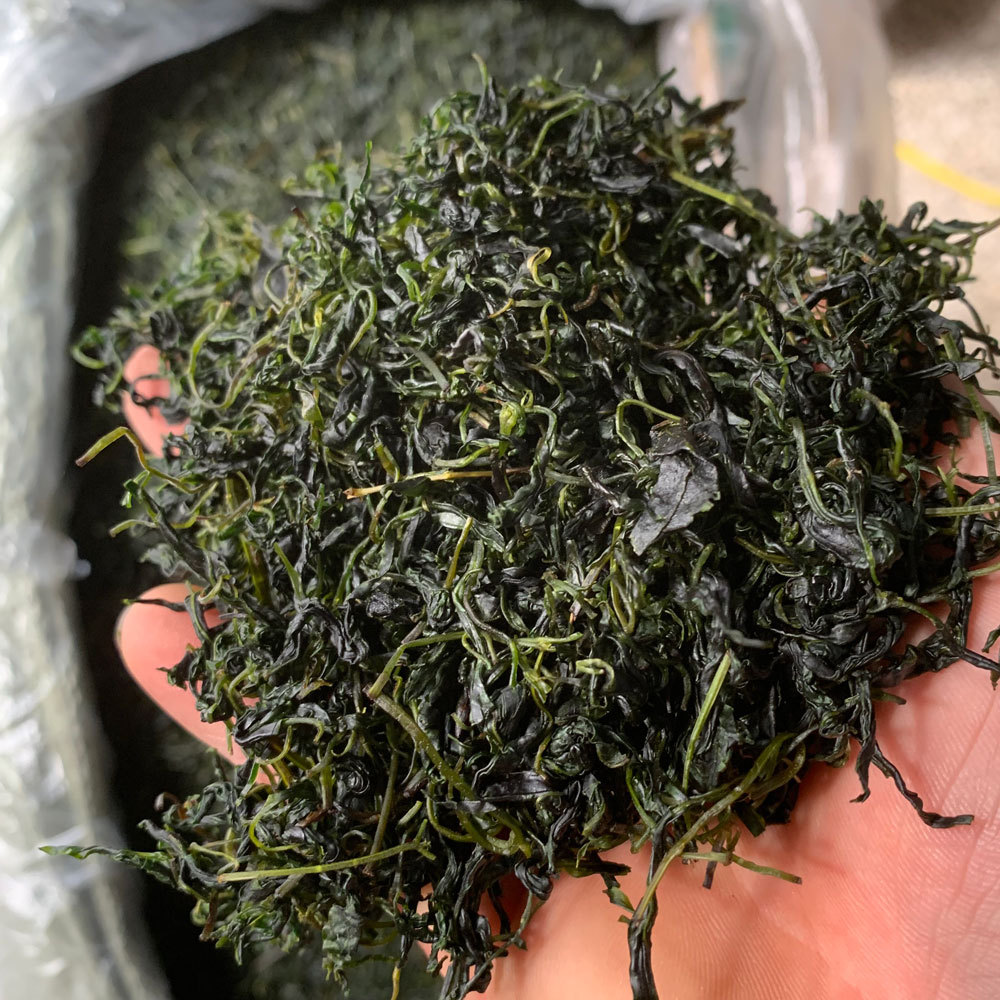 四季花草茶新货小叶苦丁茶青山绿水苦丁茶散装小叶苦丁茶叶500克