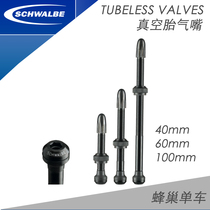 SCHWALBE Deyanate tubeless vacuum gas nozzle 40 60100m m Extension of gas nozzle 30 65mm