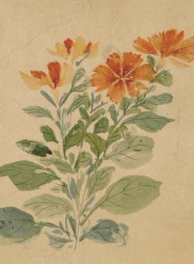 明 周之冕-群英吐秀图 古代写意花卉荷花梅花国画长卷真迹画稿
