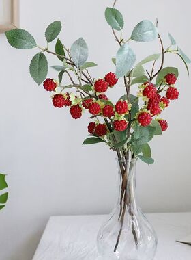 仿真树莓红色浆果蔓越莓红果假花