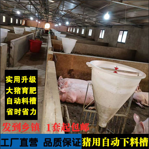 80公斤细桶猪料槽猪自动采食槽下料器大猪育肥不锈钢食槽养殖设备 - 图0