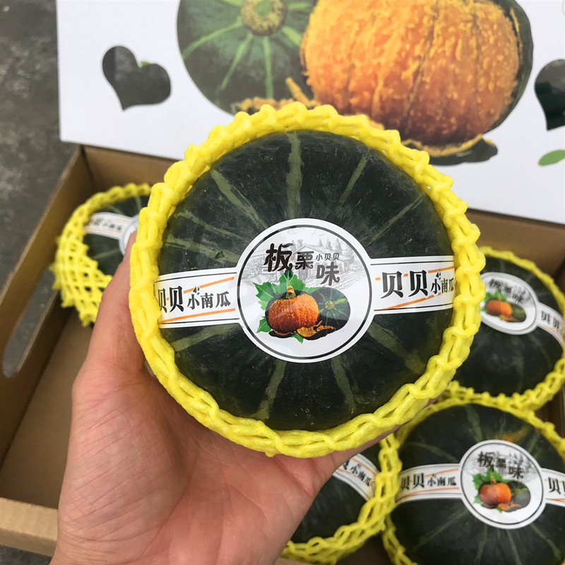 贝贝南瓜5-6只礼盒装 正宗真贝贝南瓜粉糯香甜板栗味宝宝孕妇辅食,淘宝优惠券,粉丝福利购,淘宝优惠卷