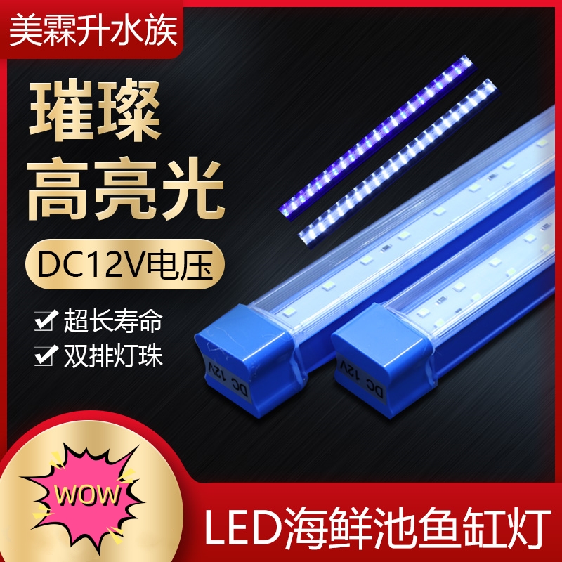 12V海鲜池鱼缸灯LED灯防水鱼缸LED照明灯 需外接变压器电源方可用