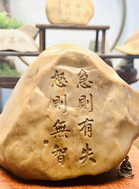 一物一拍［急则有失］天然原石真石头刻字桌面摆件花盆鱼缸造景