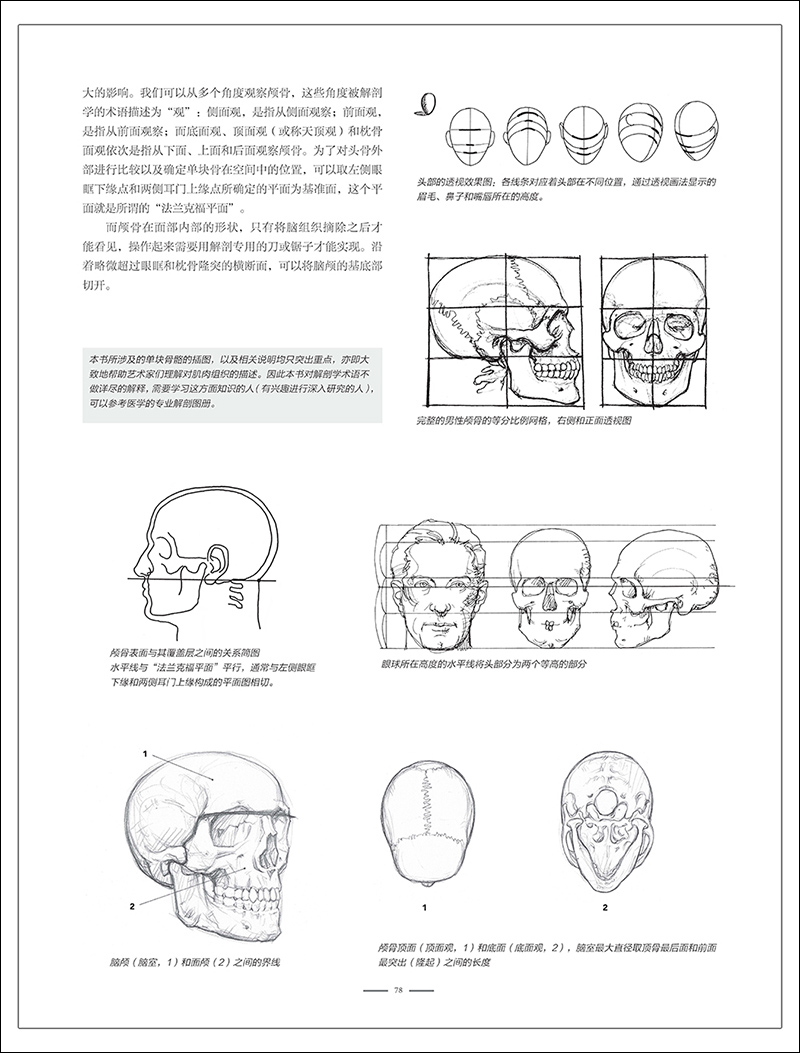 艺用人体解剖人体形态绘画指南 乔瓦尼席瓦尔第著 艺用动态解剖人体骨骼肌肉解剖实用人体素描速写 人体结构临摹人物技法基础教程 - 图2