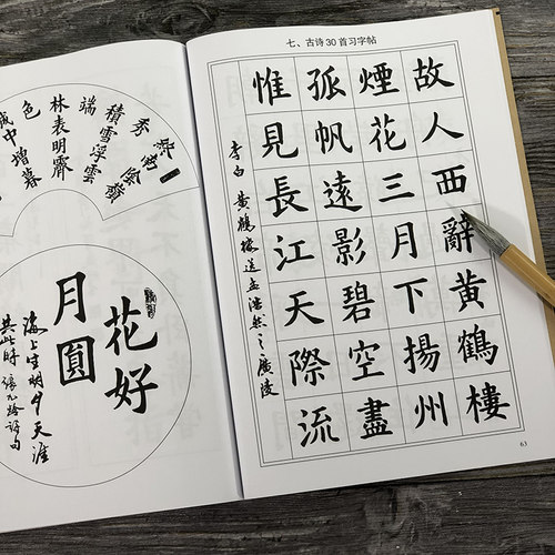 楷书入门字谱 楷书基础知识精讲 毛笔书法入门字帖书法 基础知识讲解笔法写法边旁部首解析 集字古诗碑帖临摹初学者自学课程教材书 - 图2