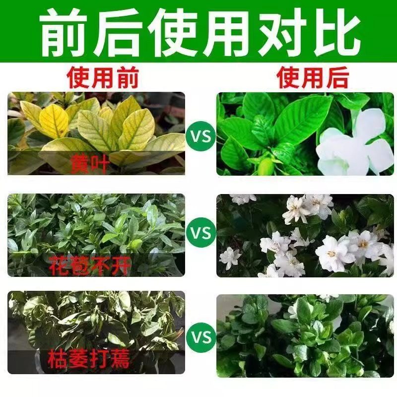 栀子花专用肥营养液枯叶病黄叶掉苞炭疽病虫害专用药栀子花促生根,淘宝优惠券,粉丝福利购,淘宝优惠卷