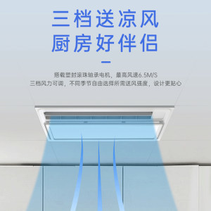 友邦厨房凉霸集成吊顶吹风照明二合一冷霸专用空调型吹风冷风机