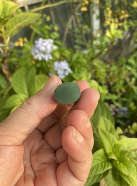 cc天然和田玉小众情侣