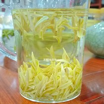 Milk white tea 2023 New tea Golden Sprout former Special Grade Green Tea Authentic Yellow Tea White Tea Anji High White Culture Spring Tea