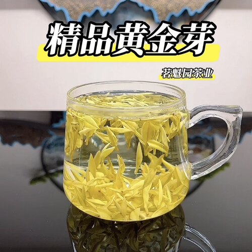 2026新茶黄金芽明前特级白茶绿茶春茶安吉黄金芽茶叶瓷罐礼盒装 - 图0