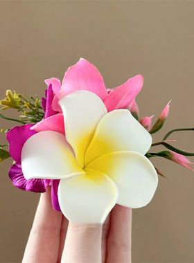 Willa｜鸡蛋花发夹新款海边配饰拍照花朵氛围感侧边夹头花头饰女