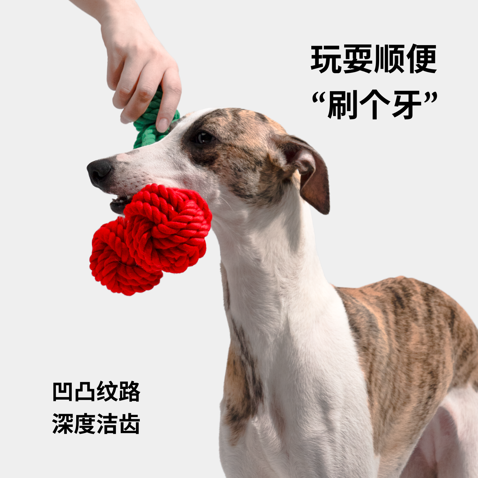 JOJIO角角樱桃派对狗狗玩具训练互动自嗨小中大型犬编织绳结玩具,淘宝优惠券,粉丝福利购,淘宝优惠卷