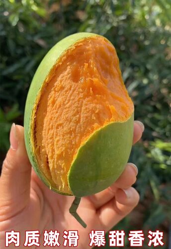 芒果树苗红贵妃芒果树苖特大果金煌芒四季芒当年结果庭院盆栽地栽 - 图2