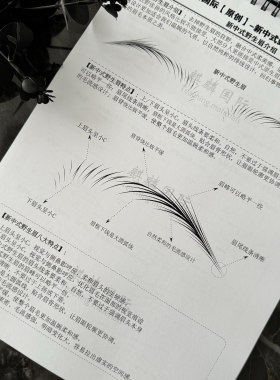 麒麟国际十二年纯原创教学练习册当下流行新中式野生眉可反复练习