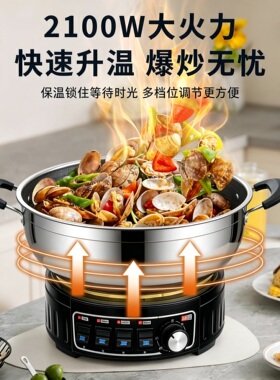 先科多功能电热锅家用电火锅电锅