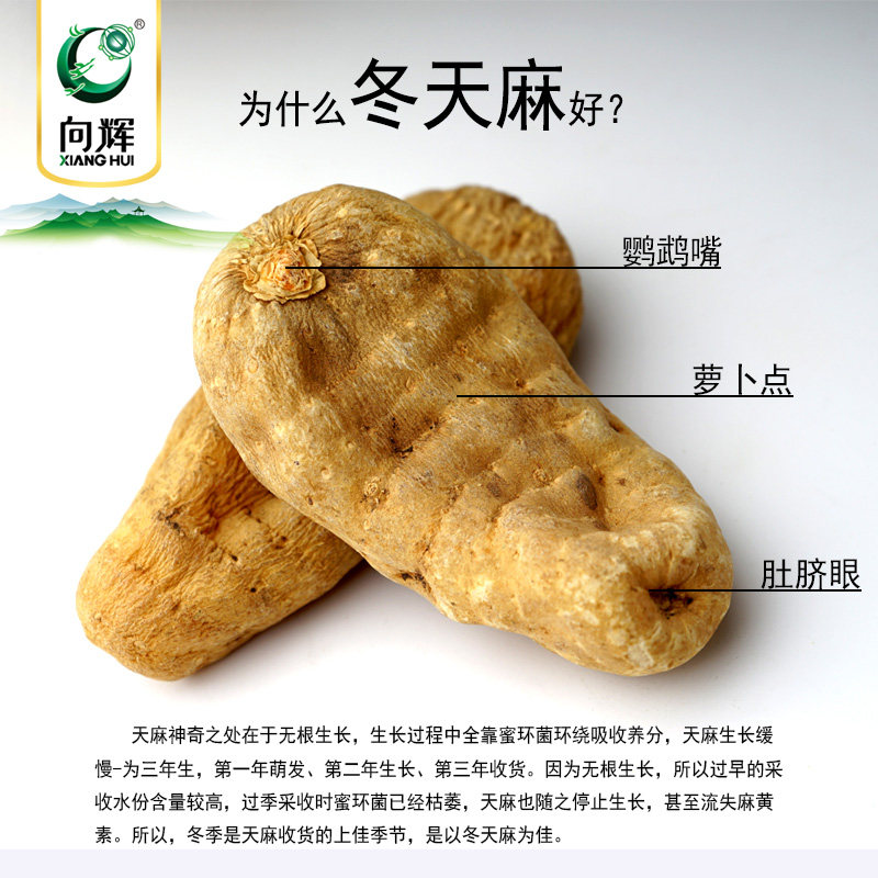 向辉天麻粉非野生天麻打细粉 向辉传统滋补品其他