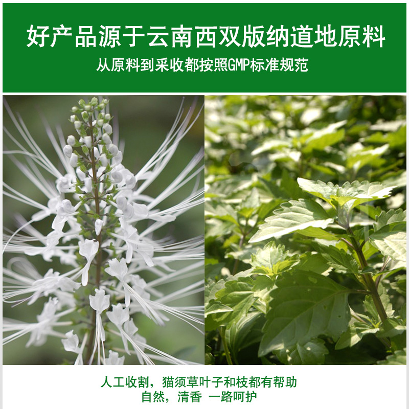 买2送1同款〗向辉云南版纳猫须草500g中药材深山肾茶化石草徘酸茶