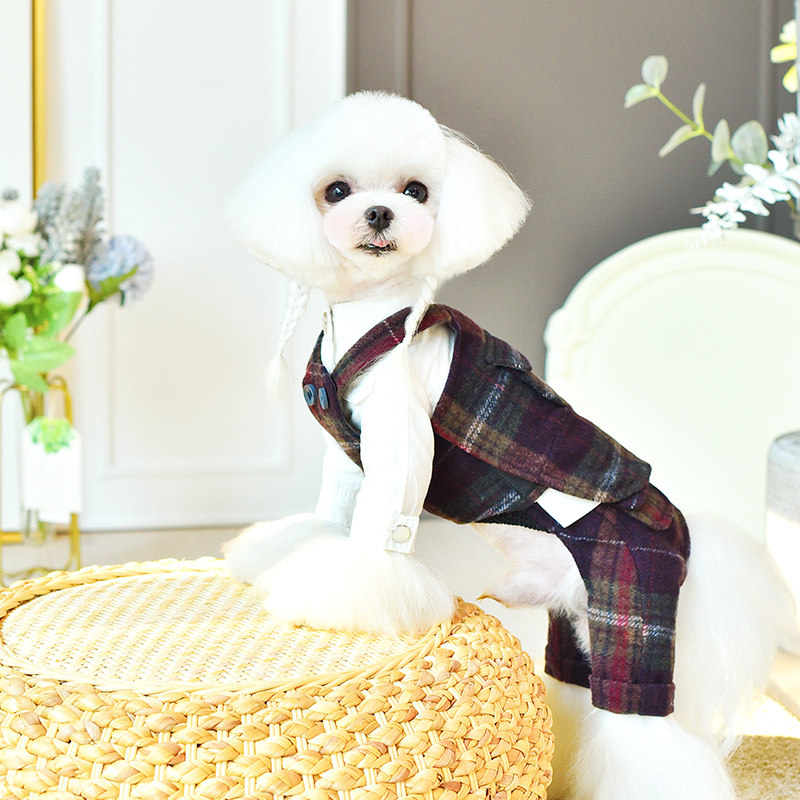 一阅心田网红泰迪狗狗衣服春秋小型犬宠物衣服紫羊毛吊带毛呢马甲 搜又搜 Www Soyouso Com