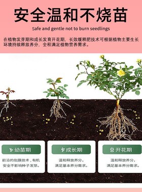 植物营养缓释片家用盆栽养花肥料