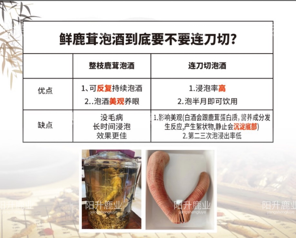 珍鹿佰集梅花鹿新鲜鹿茸可切片整根正品正宗中药材人参煲汤滋补品 - 图2