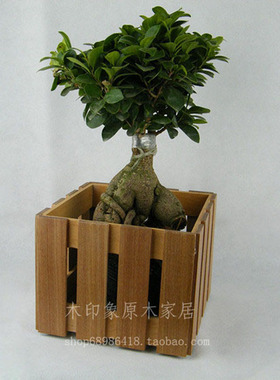 拍摄道具实木花架厂家直销原木